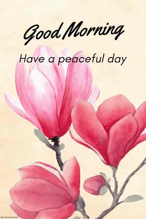 good morning have a peaceful day card