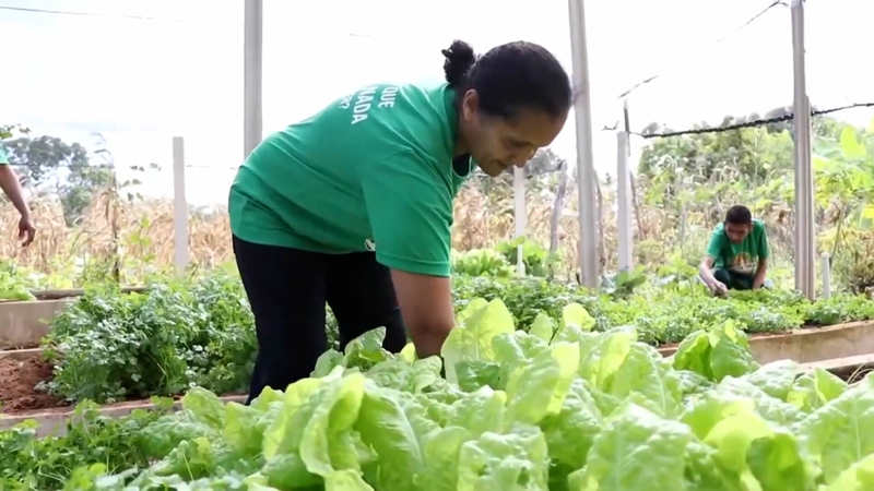 A TV Brasil leva ao ar neste sábado (1), às 9h30, uma edição inédita do Ciência é Tudo. O programa apresenta as tecnologias e inovações que transformam o semiárido brasileiro, área que engloba todo o Nordeste e parte do estado de Minas Gerais.