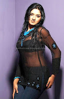 Vimala, raman, hot, navel, photos