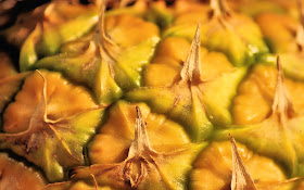 theRVGourmet, What's so Good About Pineapple-Flowers