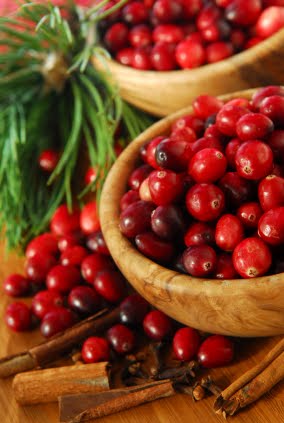 Fresh cranberries recipes