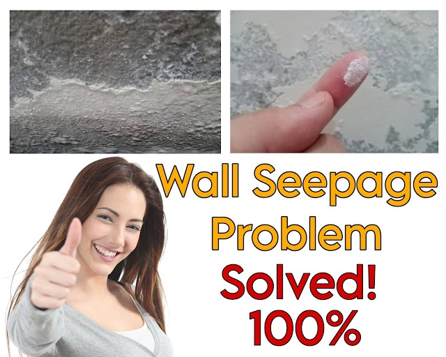 Water Seepage on Wall: What Is It and How to Get Rid of Water Seepage on wall?