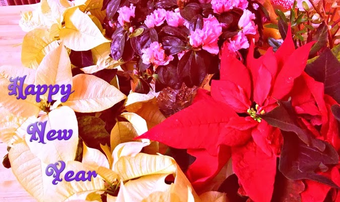 new year 2014 blog