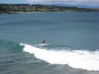 Maui Hawaii surfing long board stand up paddle