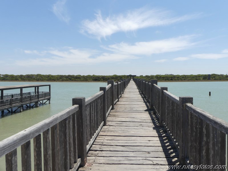 Bici Cádiz - Puerto de Santa María - Puerto Real - San Fernando - Cádiz