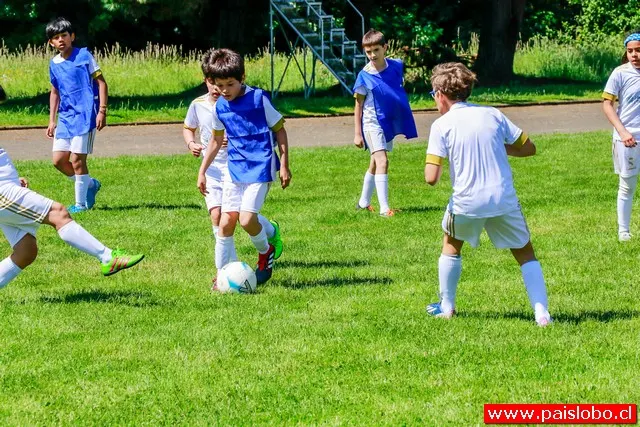 Finalizan con éxito las clínicas de la Fundación Real Madrid en Osorno