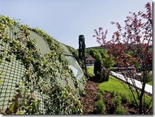 Green Architecture Home With A Great show