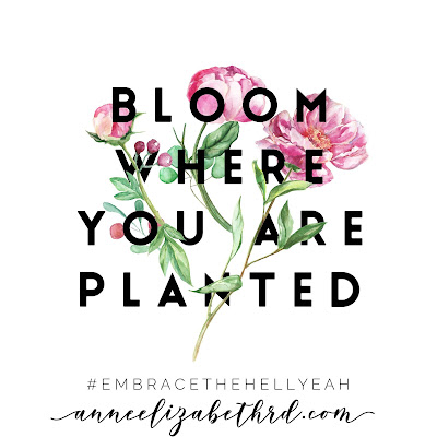 Bloom Where You Are Planted #WeeklyWisdom