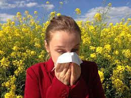 sinusitis symptoms