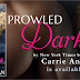 Release Week Blast: PROWLED DARKNESS by Carrie Ann Ryan