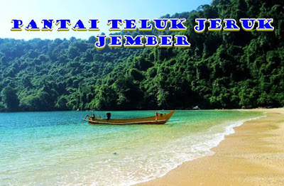 Teluk Jeruk Jember