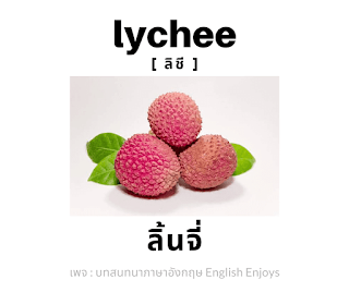 lychee - ลิ้นจี่