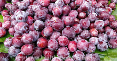 How can phalsa (falsa) contribute to reducing inflammation in the liver