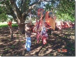 2008-Pantanal-110_thumb