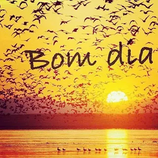 Querida mensagem de bom dia para compartilhar com amor