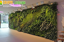 Jasa Pemasangan Taman Dinding Jakarta, Jasa Vertical Garden Jakarta