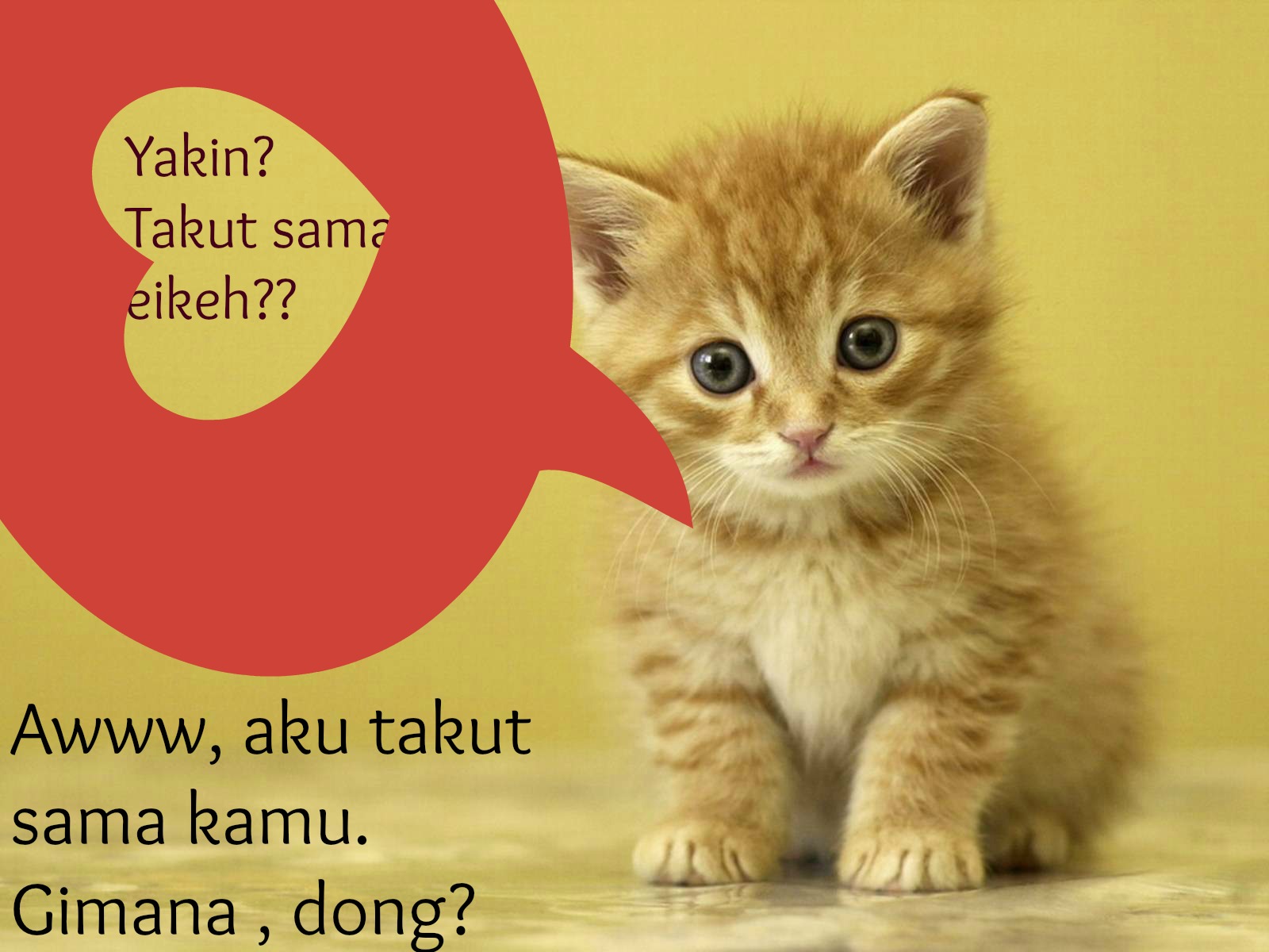 Download 55 Meme Kucing Buka Puasa Terbaik Dan Terupdate Tombol Merah