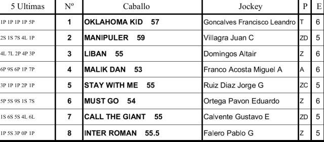 Programa Palermo Handicap New Dandy