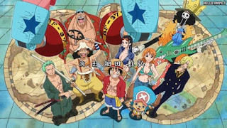 ワンピースアニメ ドレスローザ編 OPテーマ 18 麦わらの一味 | ONE PIECE Hard Knock Days