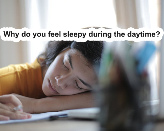 Why do you feel sleepy during the daytime?
