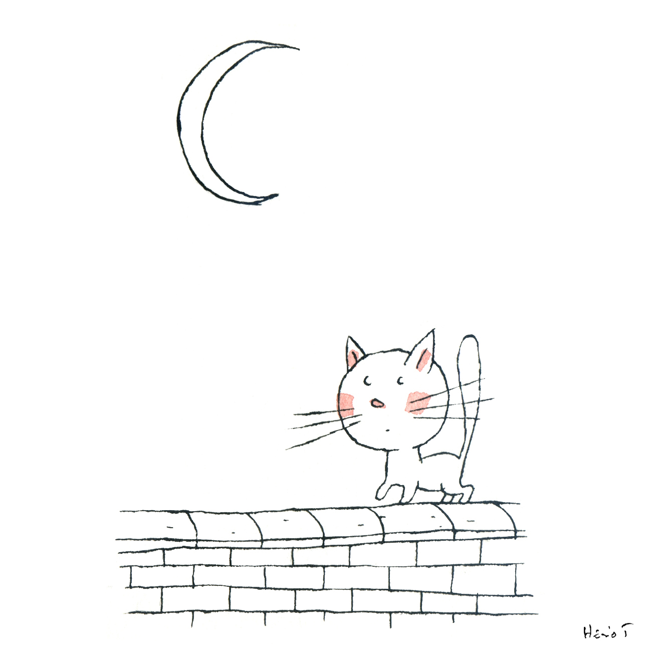 Heliot Graphie Chat Lune