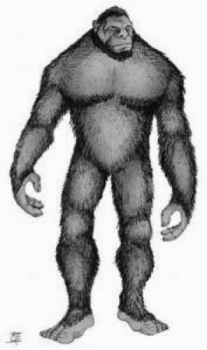 Hunter Claims To Have Shot And Killed Two Bigfoot Creatures
