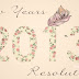 2012 Overview & New Years Resolutions