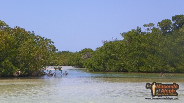 Viaje Mexico Isla Holbox 4