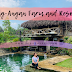 |TRAVEL| Bag-Angan Farm and Resort, Labo, Camarines Norte, Philippines