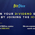 BitDice ICO  - New Era Online Casino 