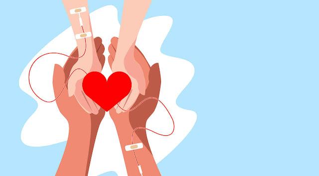 15 Matters to Realize Earlier Than You Donate Blood