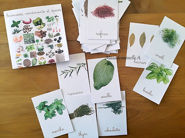 Cartes de nomenclature Aromates, condiments et épices, Maaademoiselle A. Shop