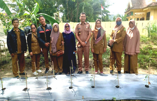 Dinas Ketahanan Pangan Kota Medan Tinjau Lahan Pertanian Kelurahan Pulo Brayan Bengkel Baru  