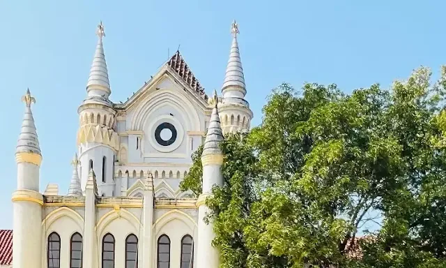 Madhya Pradesh High Court Cracks Down on Law Schools Operating Without BCI Recognition