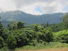 The mountains are beginning to appear...