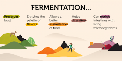 what is fermentation’s simple definition