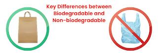 Differences between Biodegradable and Non-biodegradable