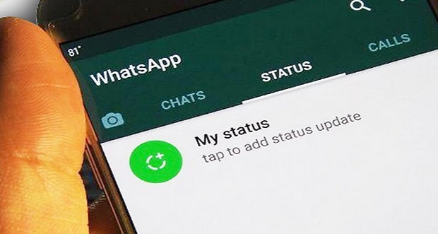 Cara Download Status WhatsApp