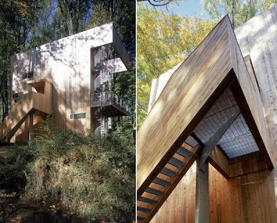 Tree House Design Modern - wooden house