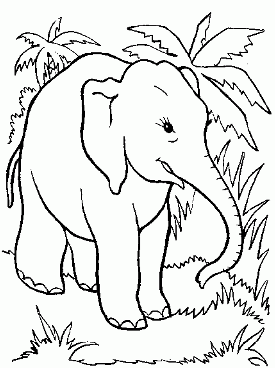 Download Kids Page: Elephant Coloring Pages | Printable Elephant ...