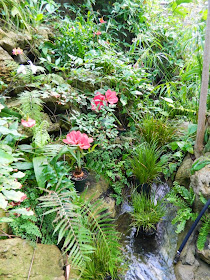 Centennial Park Conservatory tropical house waterfall by garden muses-not another Toronto gardening blog