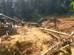 Eksploitasi Alam Nabire, Hutan dan Tanah Adat Dirusak Demi Emas dan Kayu