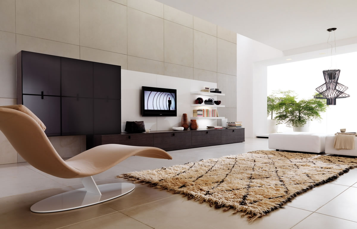 Modern Living Room Furniture Decoration 