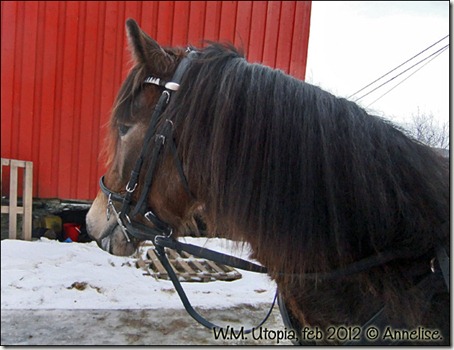 2012-feb-utopia_01