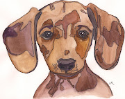 Dachshund Puppy. I found this photo on Pinterest and decided to paint this .