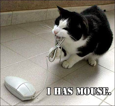 猫英語で言ってみよう：ネズミだぞ！