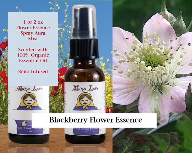 Blackberry Flower Essence Scented Spray