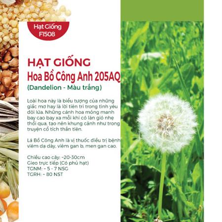 Hạt giống hoa Bồ công anh 205AQ