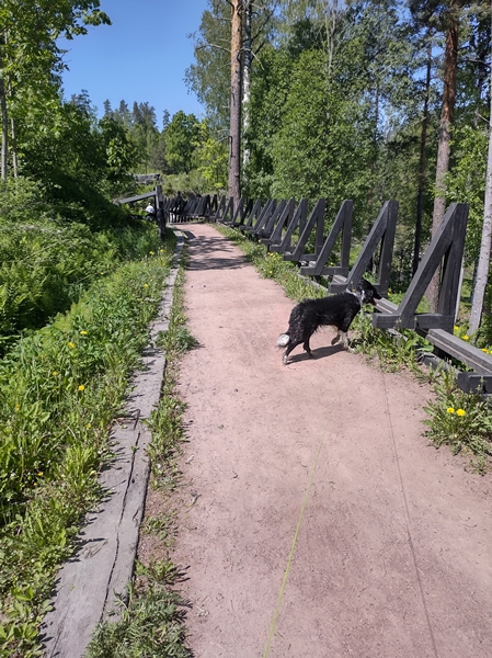 blaafarveverket åmodt haugfoss