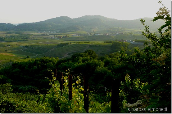 Cormons e varie 2011 009